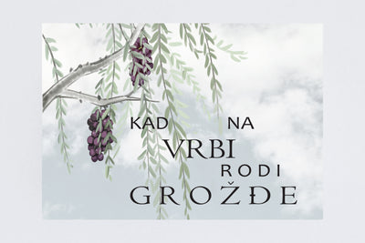 KAD NA VRBI RODI GROŽĐE - aleseea